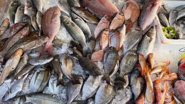 Frischer Fisch in Griechenland