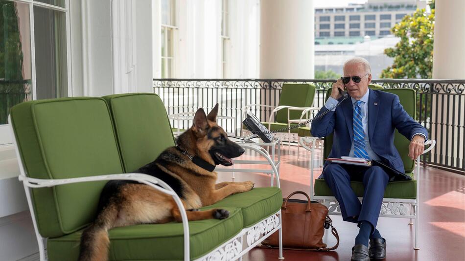 Schäferhund, gefährlich, Joe Biden