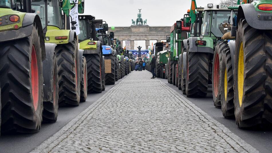 Internationale Grüne Woche - Demonstration für Agrarwende