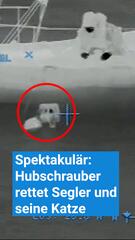 Spektakulär: Hubschrauber rettet Segler und seine Katze