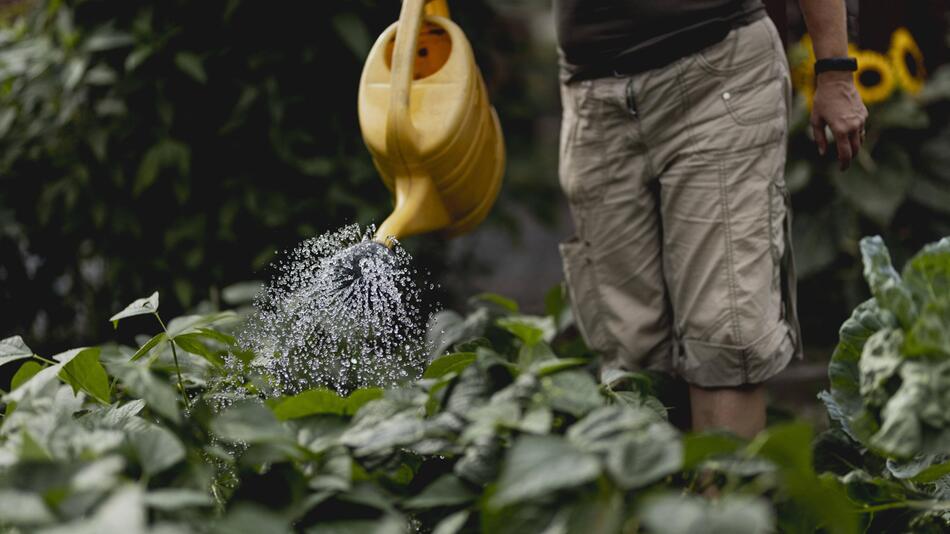 Giesskanne, Giessen, Garten