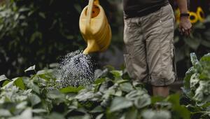 Giesskanne, Giessen, Garten