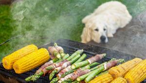 Ein Hund liegt vor einem Grill, auf dem Spargel und Mais liegen.