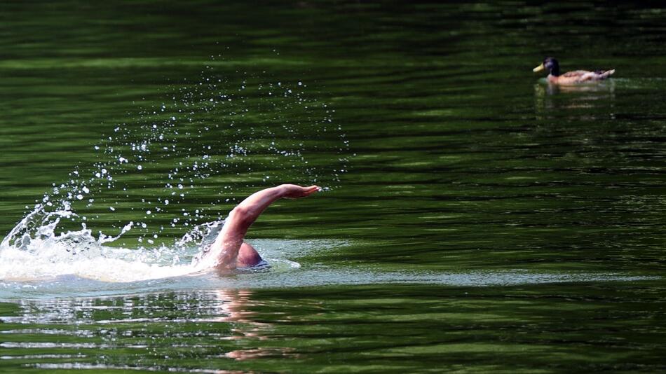 Mann schwimmt über den Plötzensee