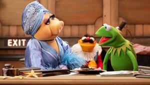 Muppets, Muppet Show, 50. Geburtstag, Comback, Unterhaltung
