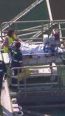 Zoo-Unglück in Queensland: Frau verliert Arm nach Löwenangriff