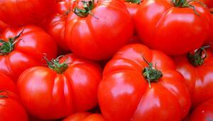 tomaten gesund