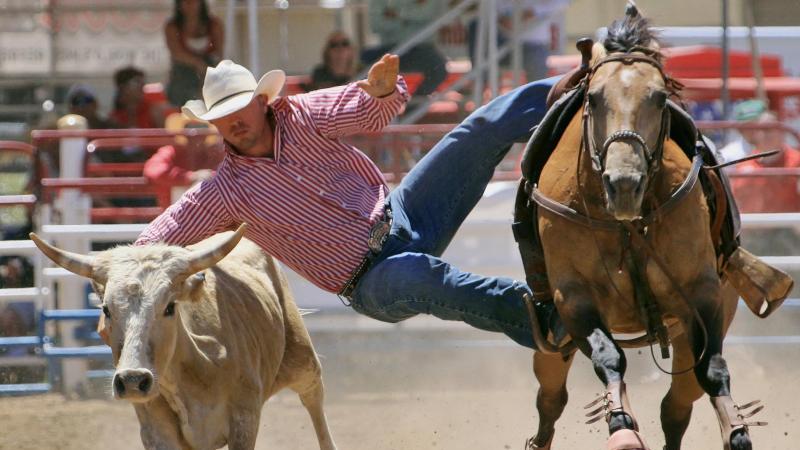 Rodeo-Fest in Arizona