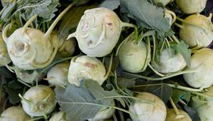 Kohlrabi mit Blättern