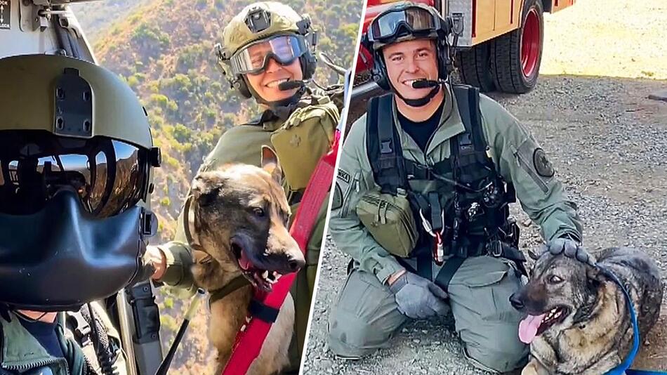 Vierbeiner kann beim Wandern nicht mehr – Hubschrauber rettet Hund in Kalifornien