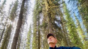 Autor Ole Helmhausen