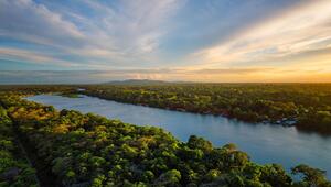 Fluss im Tortuguero-Nationalpark in Costa Rica