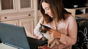 Eine Frau streichelt eine Katze auf ihrem Schoss. Vor ihr steht ein Laptop.