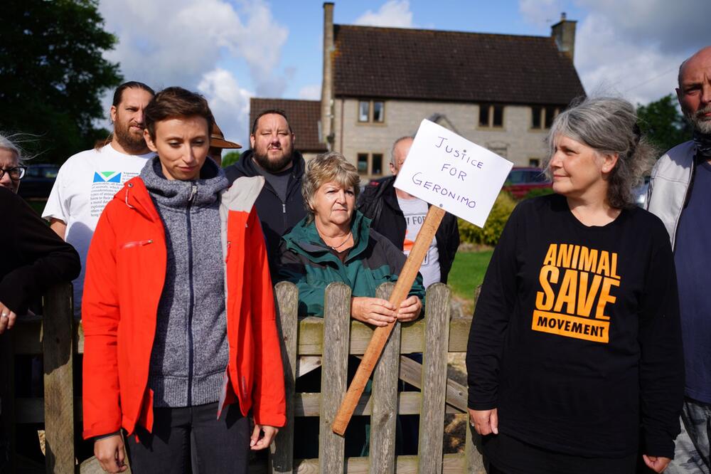 Proteste gegen Tötung von Alpaka Geronimo in Grossbritannien