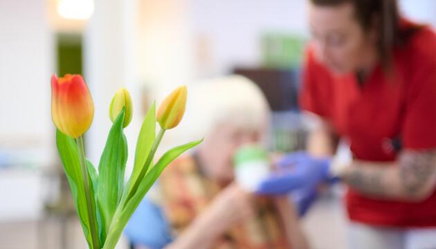 Symbolbild: Eine Pflegekraft unterstützt eine Seniorin beim Frühstück