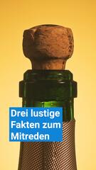 Drei lustige Fakten zum Mitreden