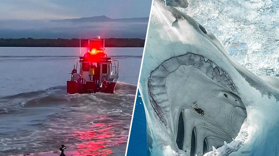 Haiangriff vor Costa Rica: Biologe beim Tauchen schwer verletzt