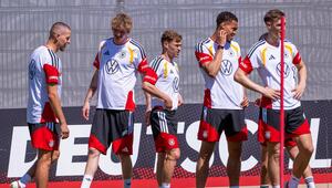 Dem DFB-Team trauen bei der WM nur die wenigsten Bundesligaprofis den ganz grossen Wurf zu.