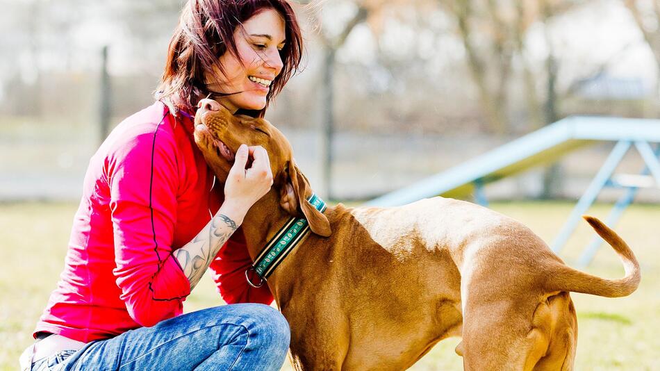 Ein Vizsla und seine Besitzerin