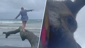 Selfie am Strand – und plötzlich rennt Hund mit dem Handy weg