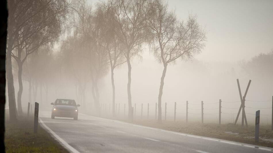 Nebel auf der Strasse