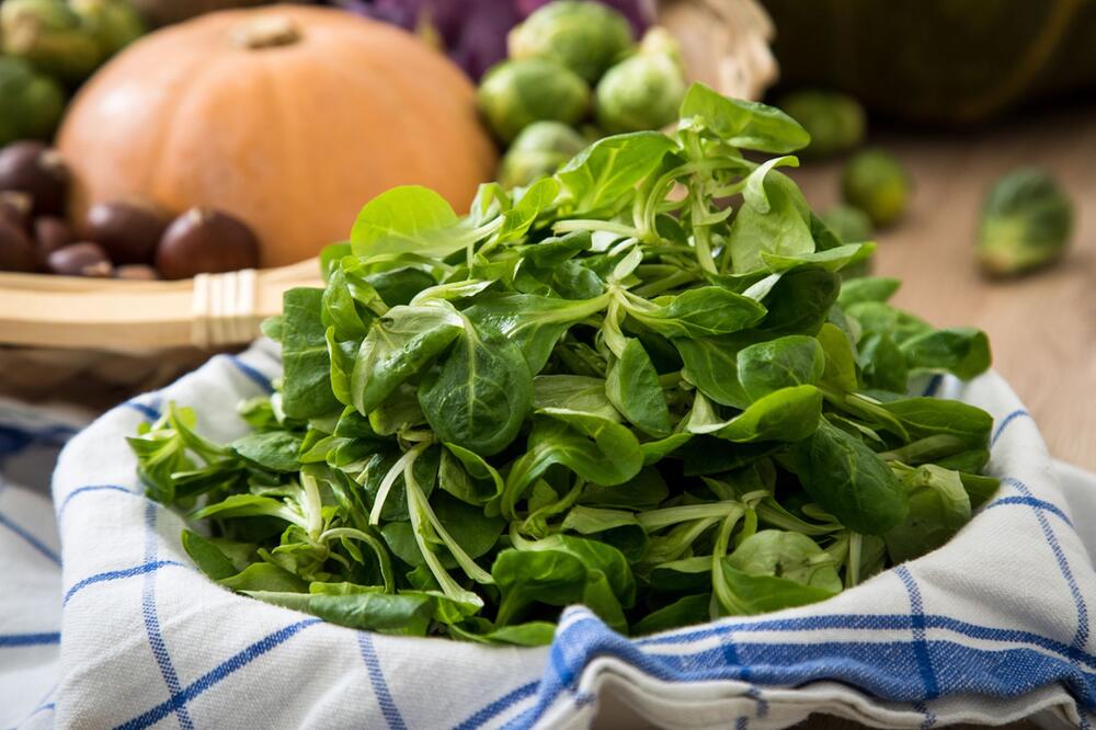 Feldsalat liegt in einer Schüssel