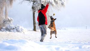 Mann spielt im Schnee mit seinem Hund