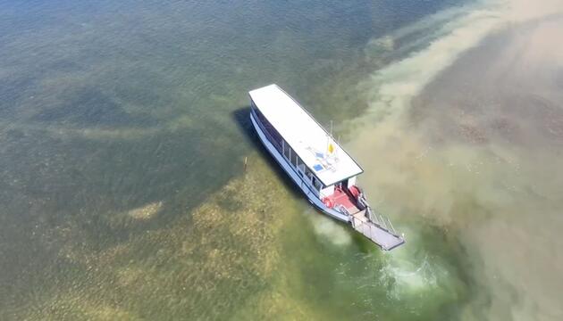 Niedrigwasser im Rhein: Fährbetreiber in Köln ist besorgt um seine Existenz
