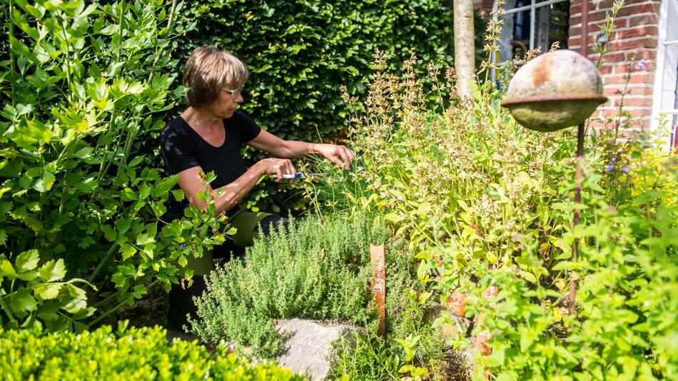 Kräuter aus dem eigenen Garten