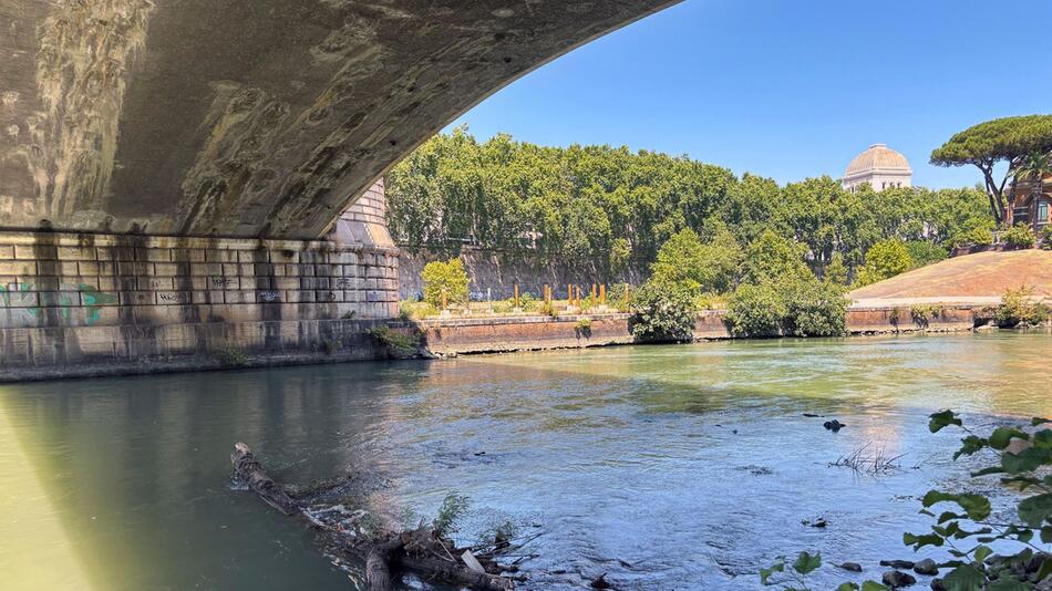 Tiber in Rom