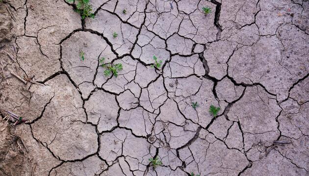 Luftaufnahme von Erdboden, der aufgrund von Austrocknung aufspringt und Risse bildet