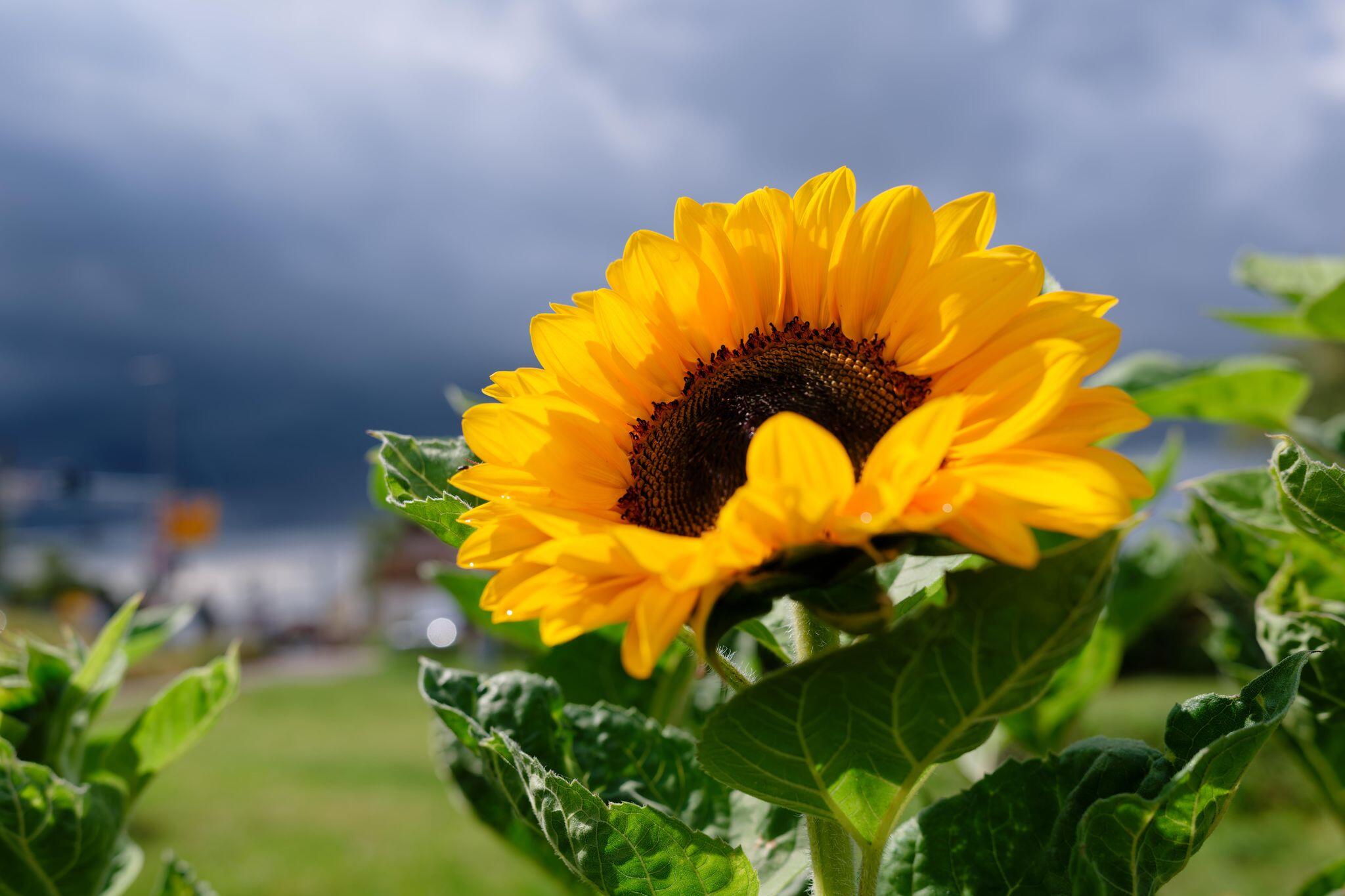 Bald wieder 30 Grad?