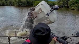 Mutterinstinkt: Wütendes Flusspferd wirft Boot mit Tierschützer um