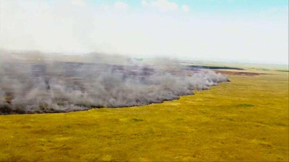 Everglades in Flammen: Kampf gegen Buschbrände in Florida