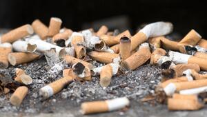 Wirbel im Kampf gegen Tabak