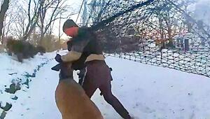 Hirsch hängt in Sportnetz fest – Polizist nimmt Waldbewohner in den Schwitzkasten