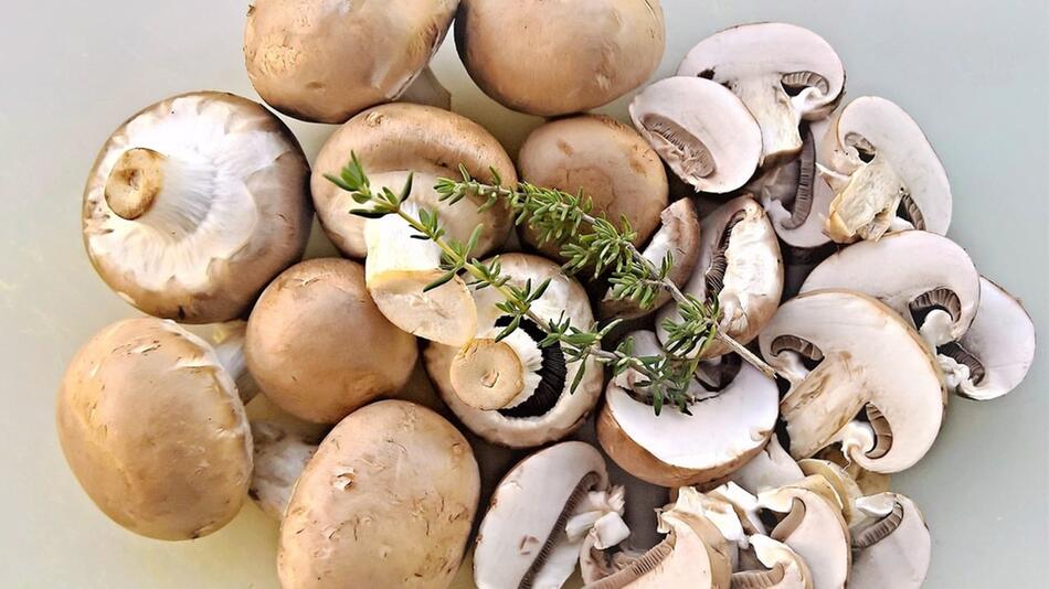 champignons gesund