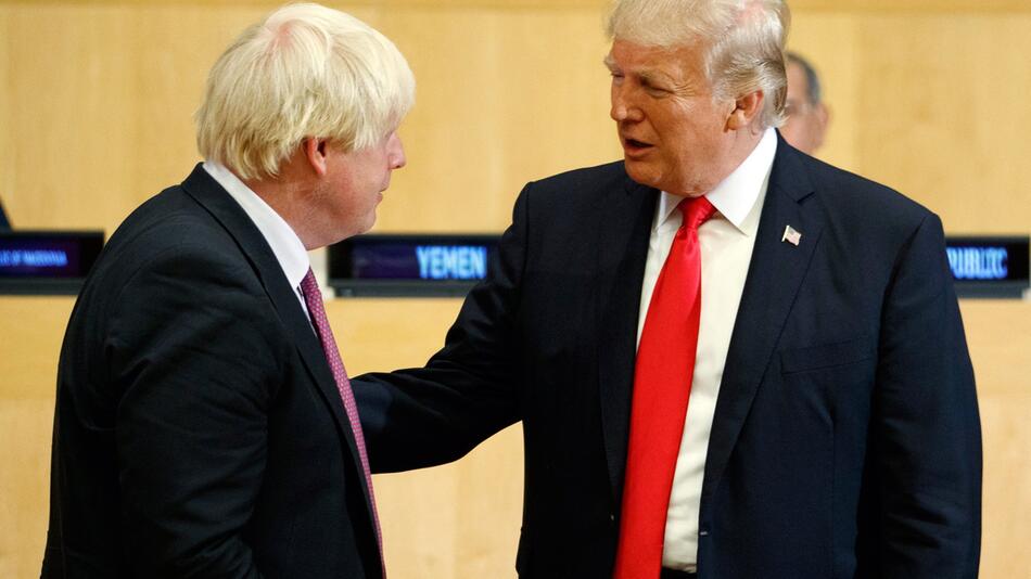 Boris Johnson und Donald Trump