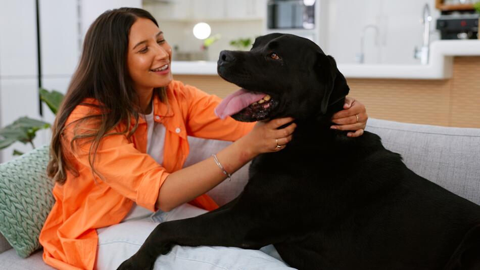 Warum die Sieben-Jahre-Regel bei Hunden nicht stimmt