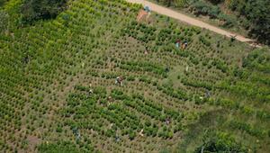 Kokain aus Kolumbien