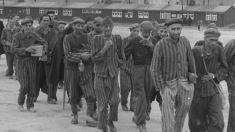 Erschreckende Umfrage: Wissen über den Holocaust schwindet – vor allem jungen Menschen