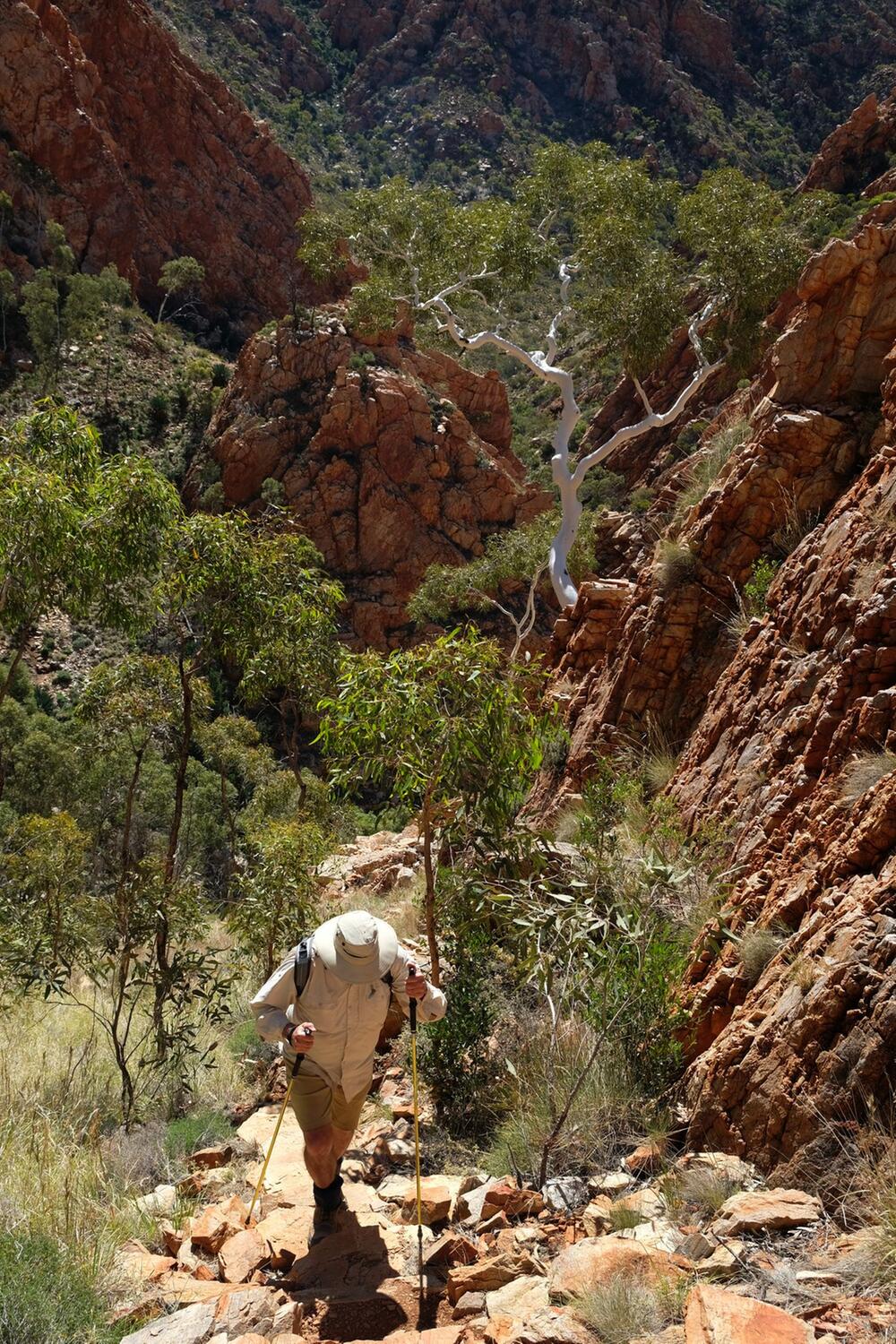 Larapinta Trail in Australien