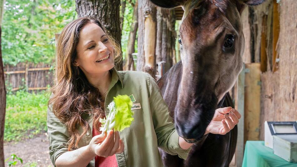 Elisabeth Lanz kehrt als "Tierärztin Dr. Mertens" zurück.