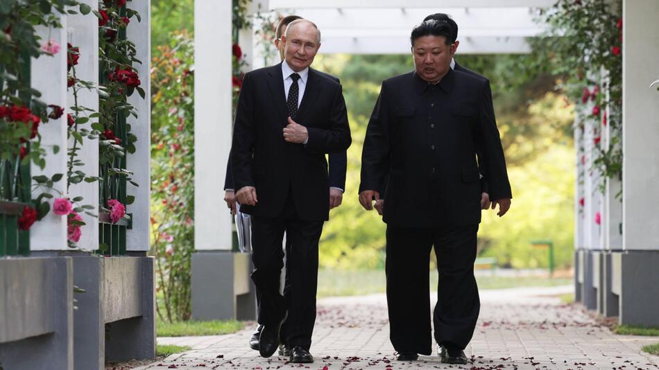 Nordkorea, Russland, Ukraine, Krieg, Kim Jong-un, Putin, Politik