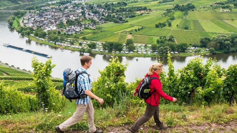 Wanderweg Moselsteig