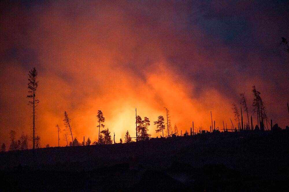 Waldbrand in Thüringen